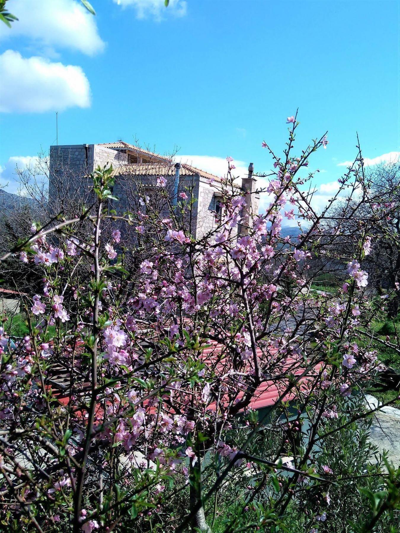 Kástellos Villa Ermis - The Cretan Castello מראה חיצוני תמונה